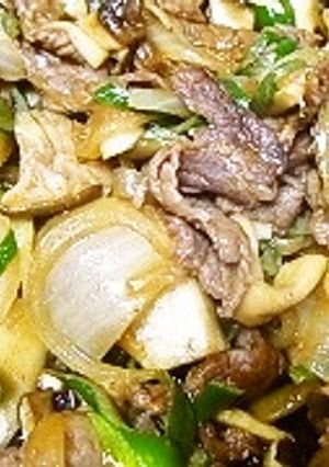 牛肉と玉ねぎのピリ辛丼-レシピのメイン写真