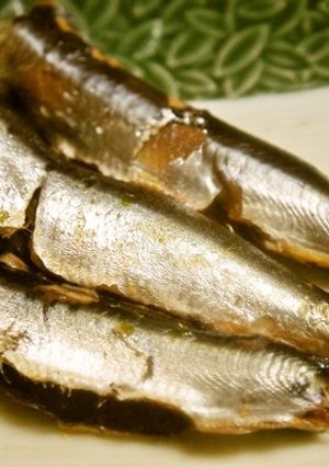 子供がおかわりする♪鰯のあっさり煮-レシピのメイン写真