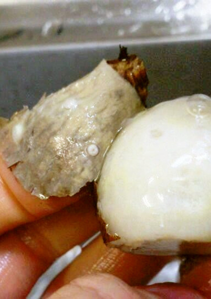 里芋の皮が簡単にむける♪-レシピのメイン写真