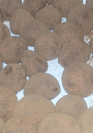 友チョコ・義理チョコに簡単トリュフを♪-レシピのメイン写真