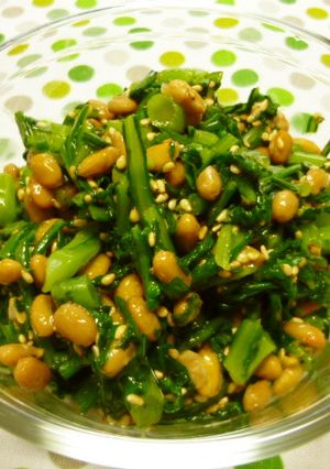 ねばねば☆春菊と納豆とごまの和え物☆-レシピのメイン写真