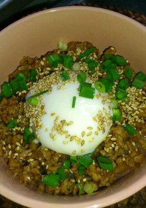 大人の鶏そぼろ丼♪-レシピのメイン写真