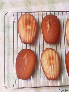 サラダ油のマドレーヌ風ケーキ-レシピのメイン写真