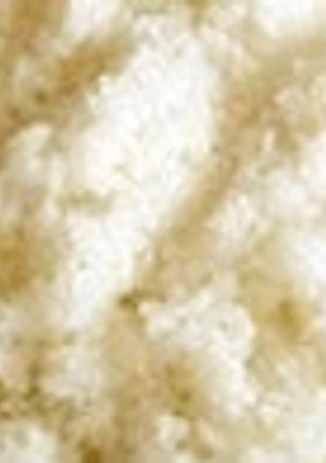 すし飯-レシピのメイン写真