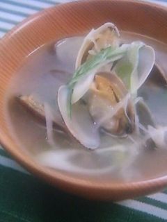 あさりのスープ-レシピのメイン写真