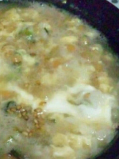野沢菜のお茶漬けおじや-レシピのメイン写真