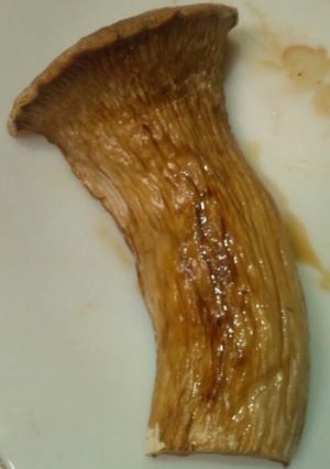 エリンギ素焼き だし醤油-レシピのメイン写真