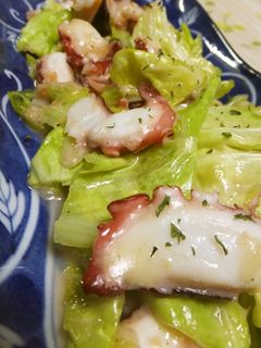 たこ☆キャベツ☆チーズ-レシピのメイン写真