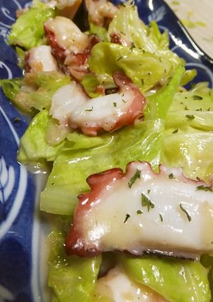 たこ☆キャベツ☆チーズ-レシピのメイン写真