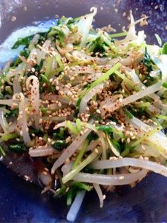 豆苗ともやしのナムル-レシピのメイン写真