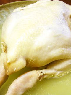 丸鶏の蔘鷄湯(サムゲタン)風煮込み-レシピのメイン写真