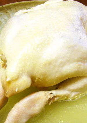 丸鶏の蔘鷄湯（サムゲタン）風煮込み-レシピのメイン写真