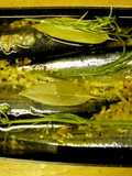 秋刀魚の手作りオイルサーディンはいかが♪