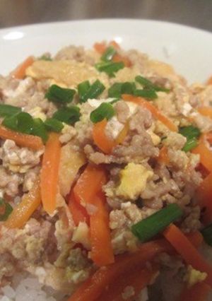 簡単美味しい！にんじんと豚肉のどんぶり-レシピのメイン写真