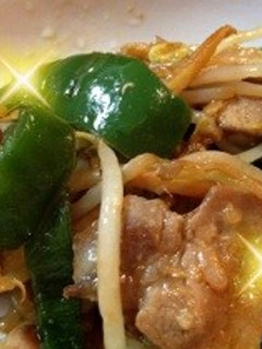 塩麹で美味*豚バラとピーマンの中華炒め-レシピのメイン写真