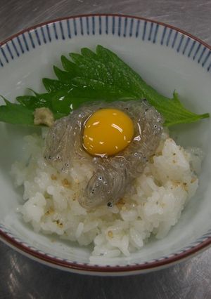 しらす浜漬け丼-レシピのメイン写真