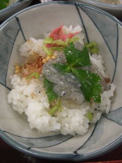 しらす浜茶漬け-レシピのメイン写真