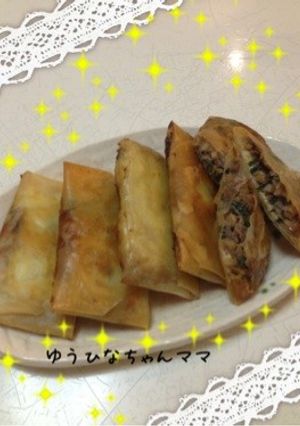 納豆春巻き-レシピのメイン写真