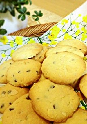 サクッ止まらな～い☆チョコナッツクッキー-レシピのメイン写真