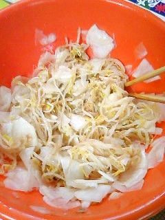 かぶともやしの酢の物~ナムル風-レシピのメイン写真