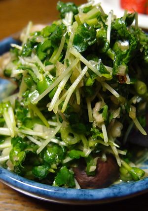 万能香味野菜タレ-レシピのメイン写真