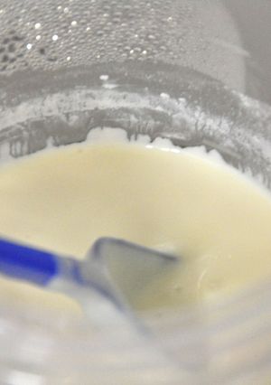 断食明けの食事にも！豆乳ヨーグルト-レシピのメイン写真