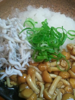 『食欲なくても!!ネバしらおろし』-レシピのメイン写真