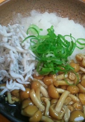 『食欲なくても!!ﾈﾊﾞしらおろし』-レシピのメイン写真