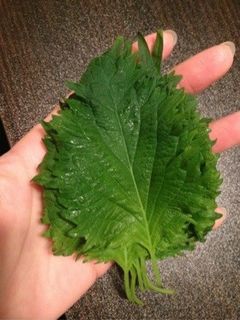 大葉を長持ちさせる方法-レシピのメイン写真
