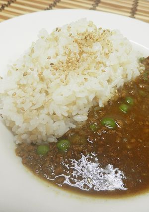 ひと手間かけて「スパイシーカレー」-レシピのメイン写真
