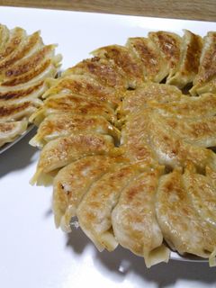 ふんわり焼き餃子-レシピのメイン写真