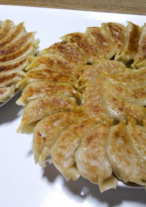ふんわり焼き餃子-レシピのメイン写真