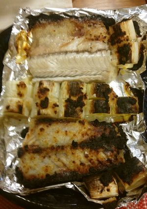 さごしとネギ 塩こうじ焼き-レシピのメイン写真