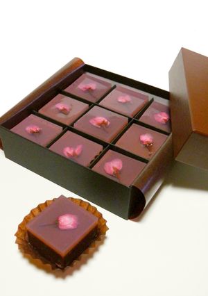桜のショコラようかん♪(チョコ羊羹)-レシピのメイン写真