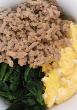 味付け簡単！少ない食材で三色そぼろ-レシピのメイン写真