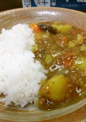 ちょっとそば屋風な普通なカレー-レシピのメイン写真