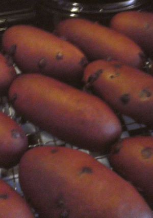チョコチップパン(キッチンエイド使用)-レシピのメイン写真