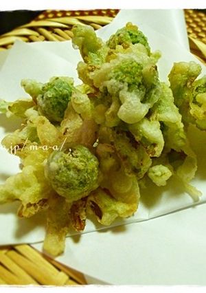 フキノトウの天ぷら-レシピのメイン写真