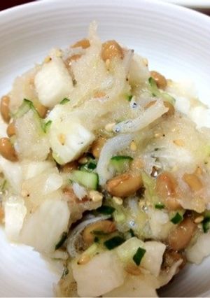 ネバシャキ健康♪長芋と納豆のおろし和え-レシピのメイン写真