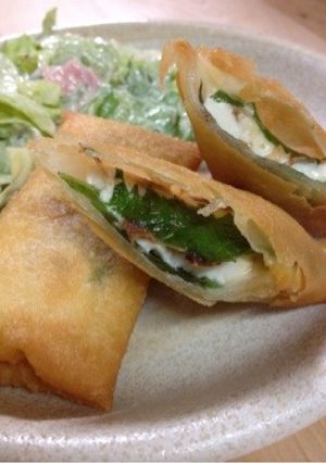 簡単☆チーズ大葉＆豆腐の春巻き-レシピのメイン写真