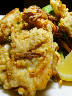鶏のささがきゴボウ揚げ♪-レシピのメイン写真