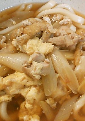簡単＊煮込みうどん・そうめん・蕎麦♪-レシピのメイン写真