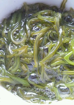 めかぶの酢の物-レシピのメイン写真