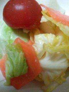塩麹で野菜漬け-レシピのメイン写真