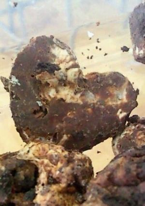バレンタインに・・・・大好評チョコ!-レシピのメイン写真