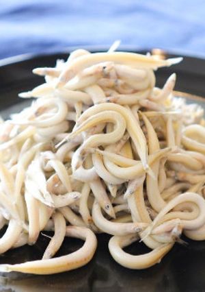 イカナゴの釜揚げ-レシピのメイン写真