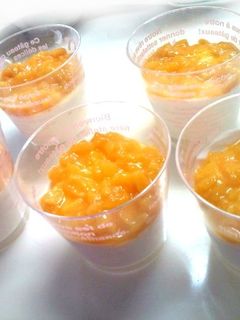 ココナツとマンゴーブラマンジェ-レシピのメイン写真