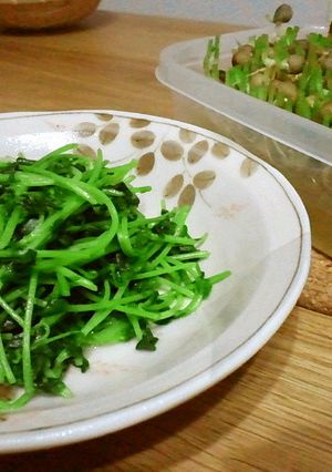 豆苗炒め✦-レシピのメイン写真