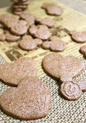 サクサク＊とっても美味しいココアクッキー-レシピのメイン写真