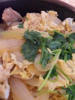 簡単すぎ☆親子丼-レシピのメイン写真